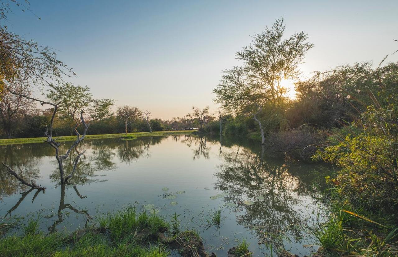 Jabulani Safari Βίλα Kapama Game Reserve Εξωτερικό φωτογραφία